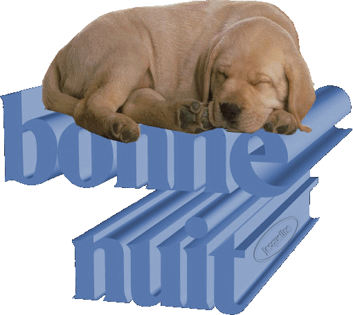 bonne nuit 